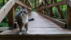 11221573_10206454206571369_6050521751551336693_n - Copy