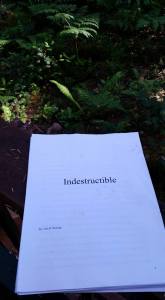 11885276_10206361739579752_7239250386173235472_n - Copy