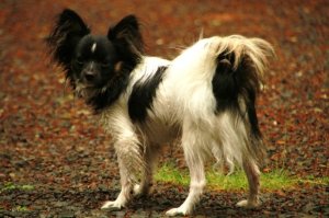 1917387_1226474819415_6166418_n