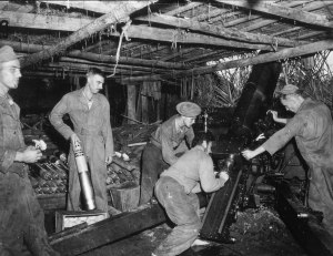 41st Inf Div 205th FA Bn 105mm Howitzer in action Salus New Guinea 080543 (1 of 1)