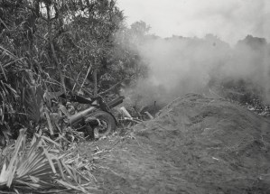 41st Inf Div C bat 218th FA fires 105mm howitzer at Arara New Guinea 052544 (1 of 1)