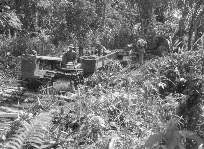 41st Inf Div fa bn tractor and 105mm in New guinea jungle 070743 (1 of 1)