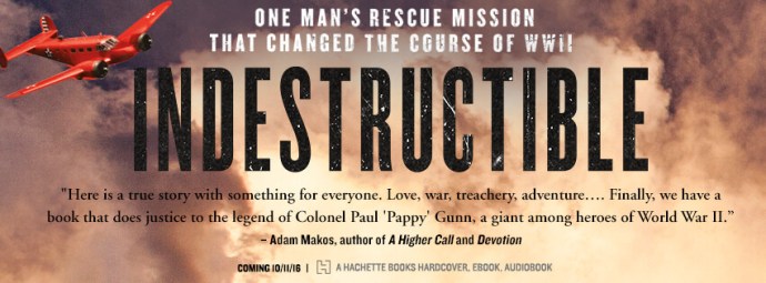 indestrictible_facebook_image