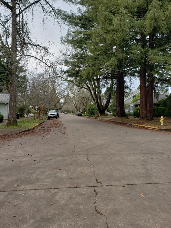 82037661_10219242310665979_1283096165142757376_n